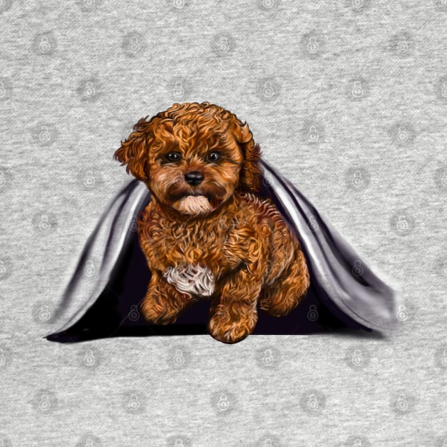 cavalier King Charles spaniel Under cover2 Cavapoochon Cavapoo Cavoodle - Lucky the cute  cavalier King Charles spaniel Bichon frise by Artonmytee